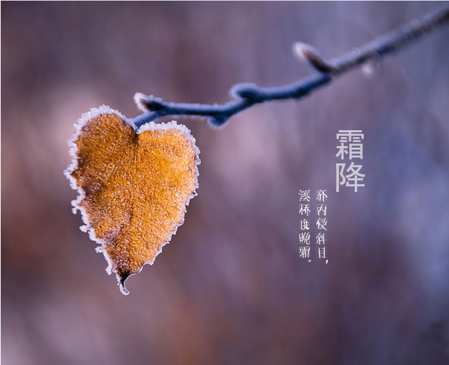 霜降养生吃什么好？