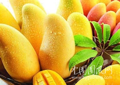 芒果的功效与作用