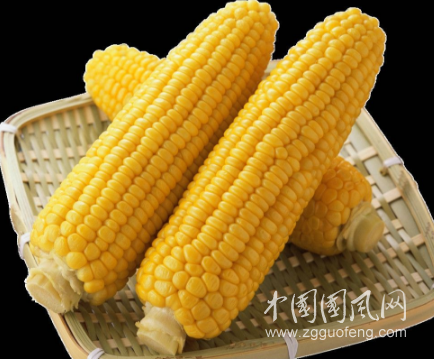 吃玉米对人有3大好处，但是这2种人不适宜吃