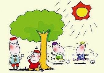 夏天吃哪些食物能降暑解毒
