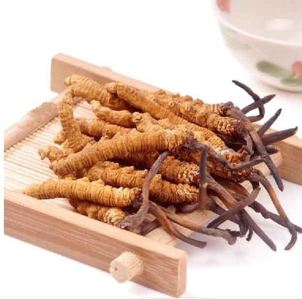 这些人不适合秋冬进补冬虫夏草，要注意了