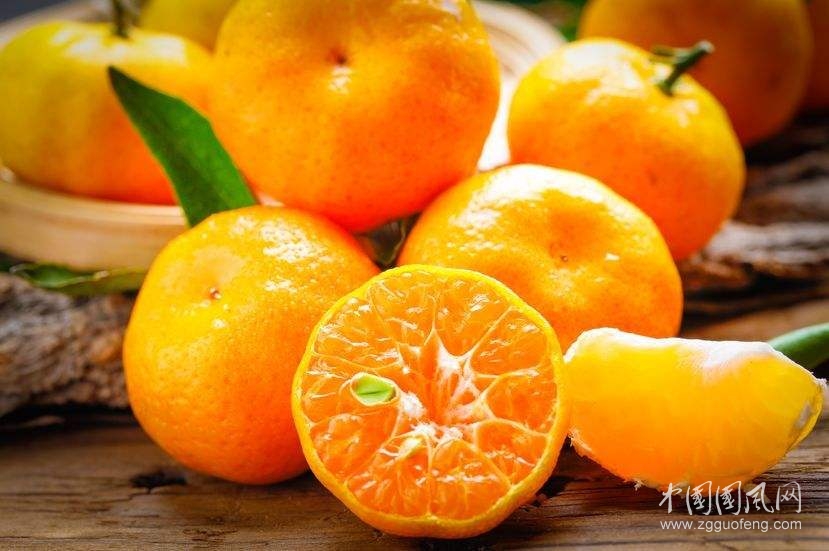 橘子一天可以吃几个？橘子吃多了有什么坏处和危害？