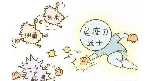 增强抵抗力的几个好方法