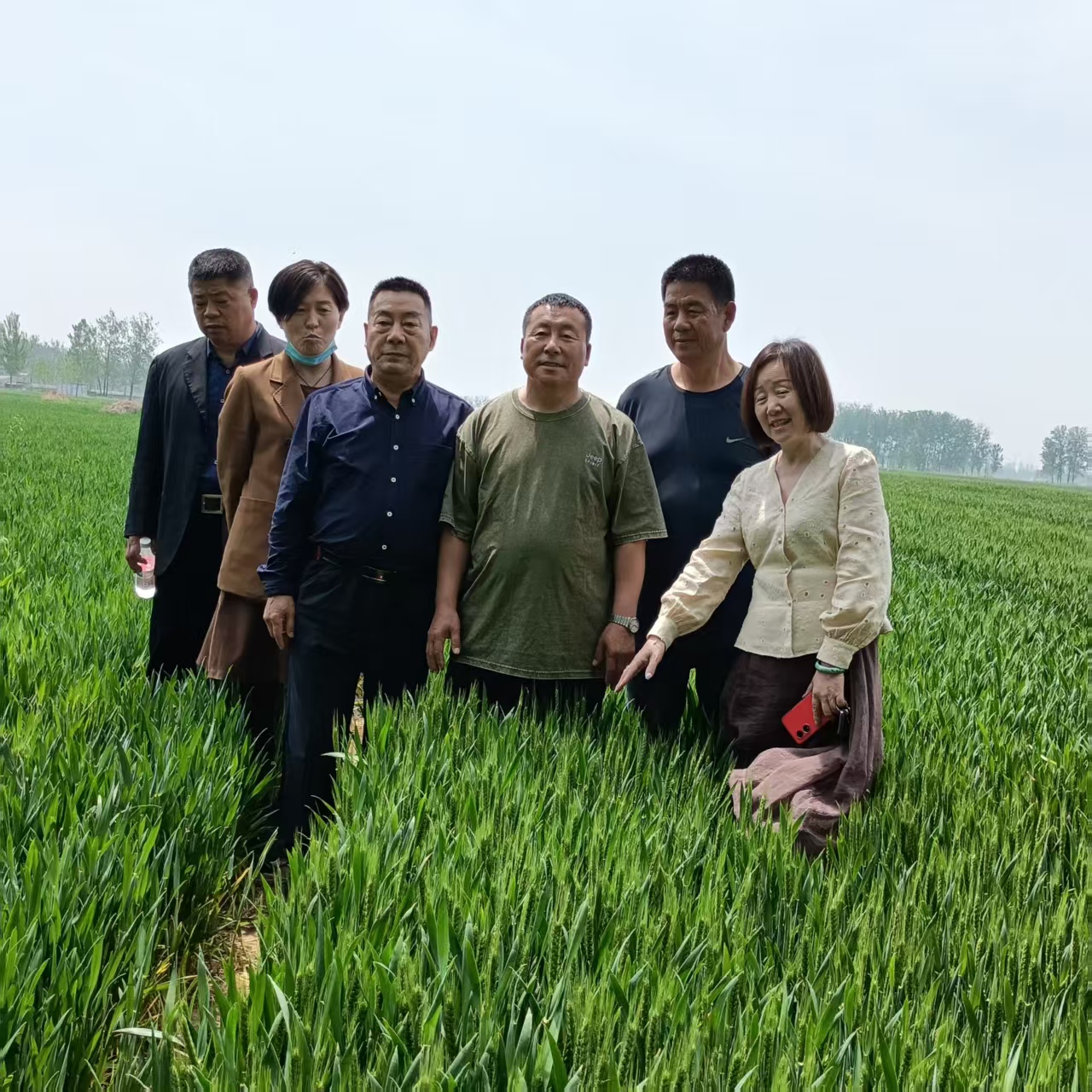 微信图片_20250507121054.jpg