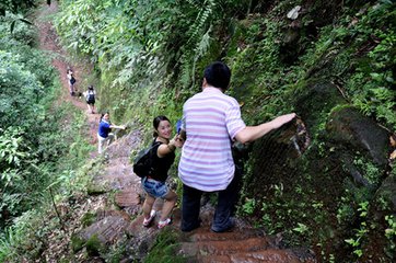 驴行爱情天梯
