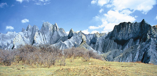 B407.tmp.jpg