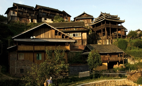 国外有猫屎咖啡，你知道中国有虫屎茶吗