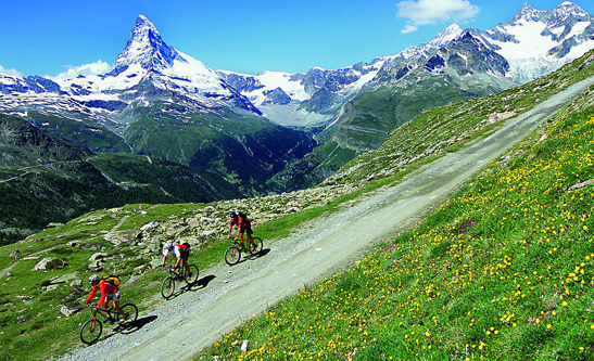 新西兰山地骑行
