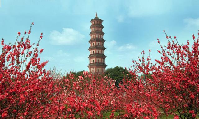 广州这座山可比白云山,旅游值得一去