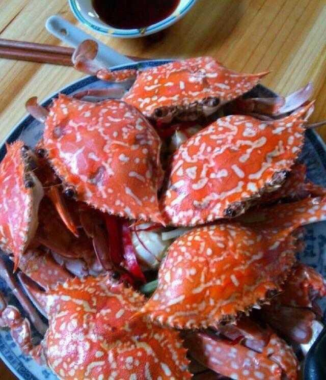 住海边城市也太幸福了,他们吃腻了的东西却是我吃不上的美食