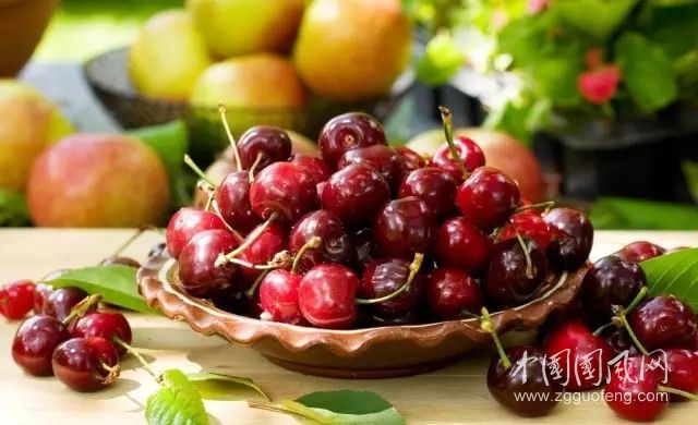 夏天最该吃的几种水果，生津解毒、补气血