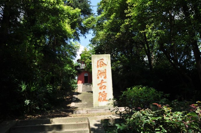 88.jpg