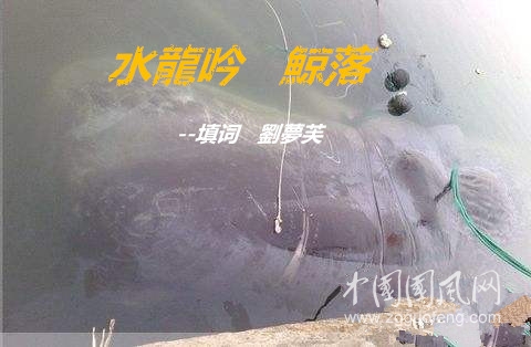 timg_副本.jpg
