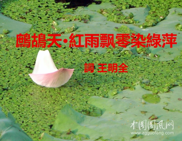 timg_副本.jpg