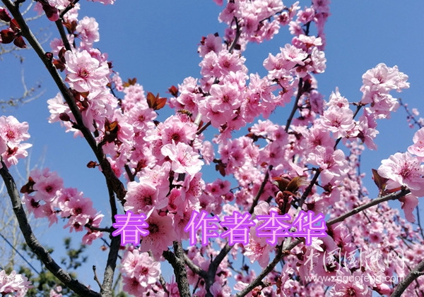 10031193_112016716000_2_副本.jpg