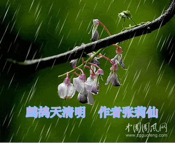 微信图片_20200408145031_副本.png