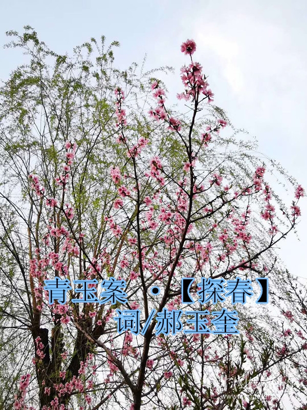 微信图片_20200414130734_副本.jpg