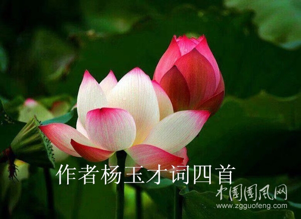 QQ图片20200912144254_副本.jpg