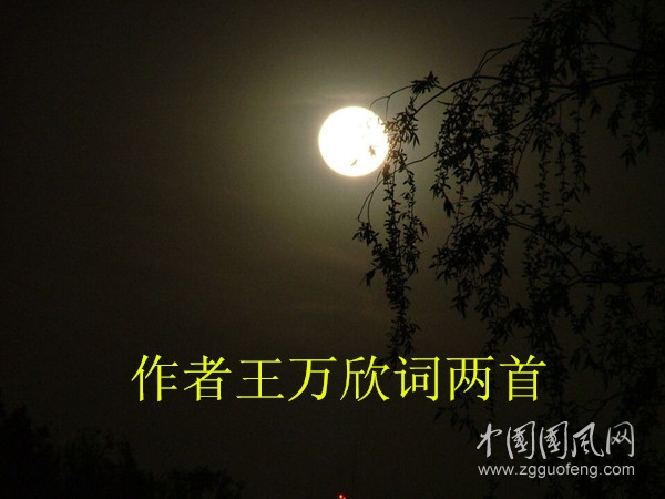 QQ图片20200912152249_副本.jpg