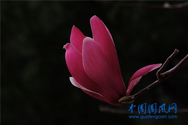 src=http___img8.zol.com.cn_bbs_upload_21728_21727451.jpg&refer=http___img8.zol.com.jpg