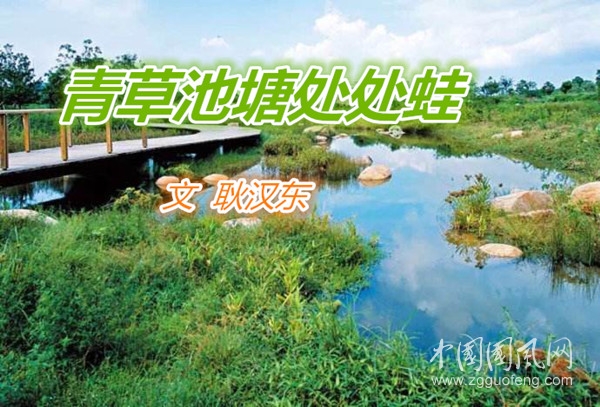  青草池塘处处蛙（文 耿汉东）