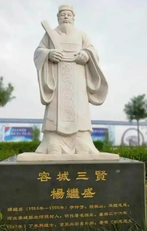 杨3.webp.png
