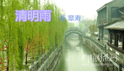 清明雨.jpg
