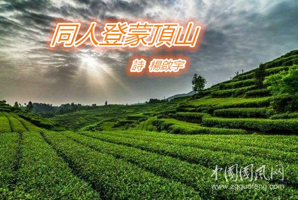茶.jpg