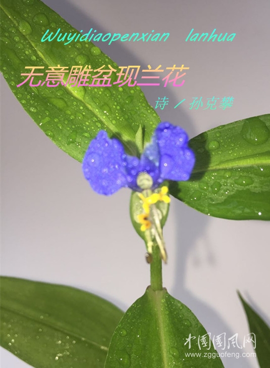 微信图片_20170524082447_副本.jpg