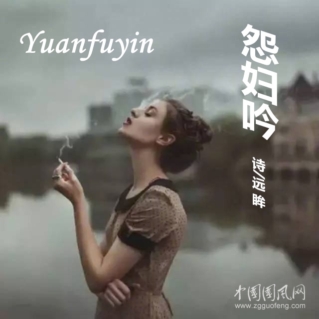 怨妇.jpg