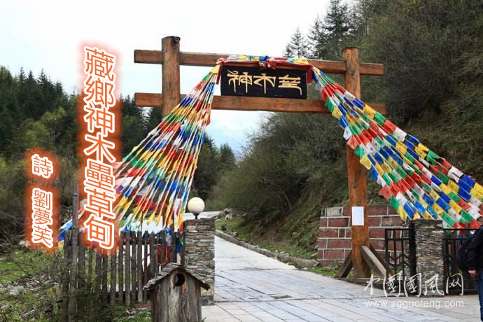 timg_副本.jpg