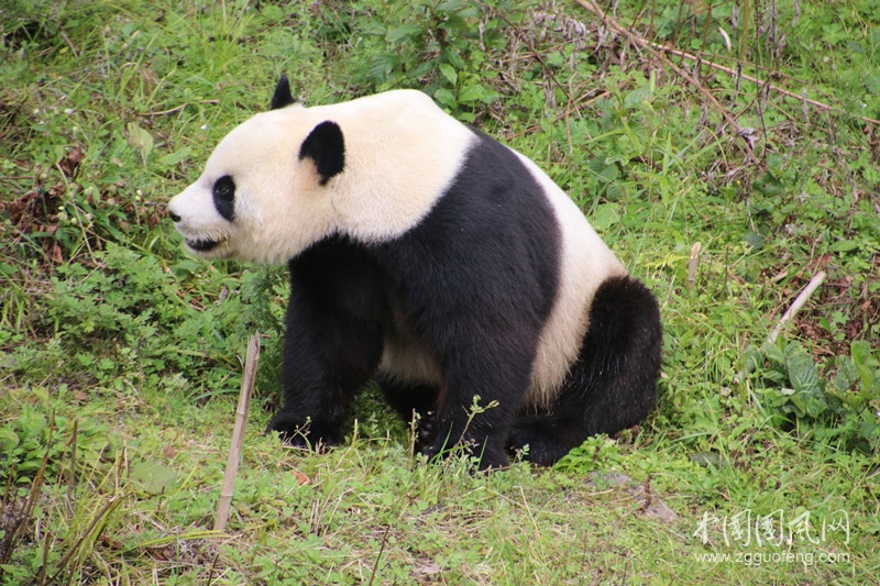 IMG_8822_副本.jpg