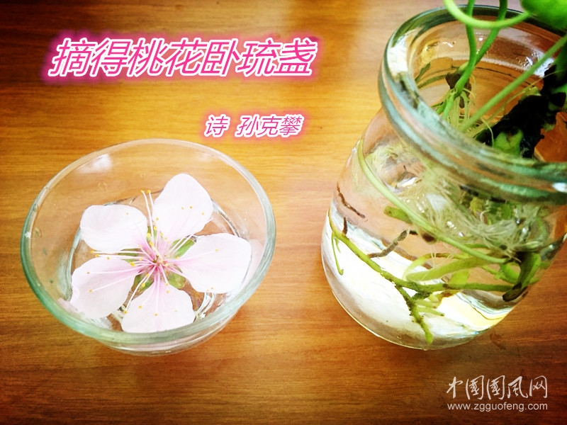 490241564804648371 (2)_副本.jpg