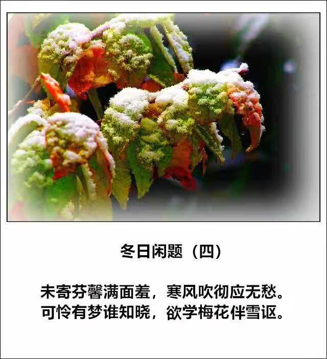 6bd8f1384cdd980edef9f0aef6f98d5.jpg
