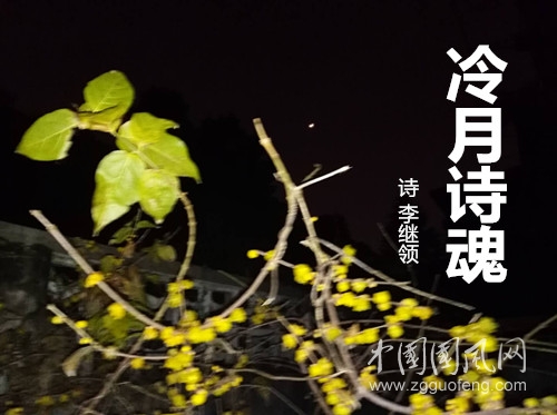 d38e8157a90cabd6febfa82c70d1594.jpg
