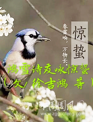 微信图片_20190306231205.jpg