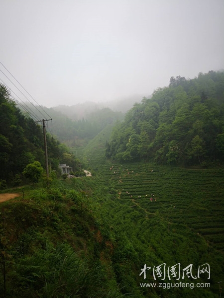 7bdc7a0a1440356f981d0b5fd8815e6.jpg