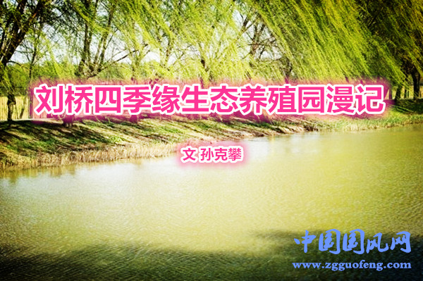 17203656db900d.jpg_r_650x433x95_2c571d97.jpg