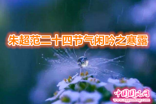 timg (2)_副本.jpg