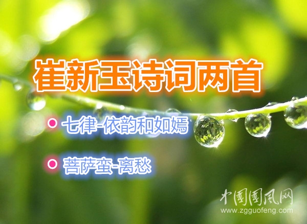 timg (10)_副本.jpg