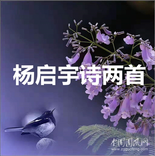 09c3cada41d5aed3d6cb63c21e26064.jpg