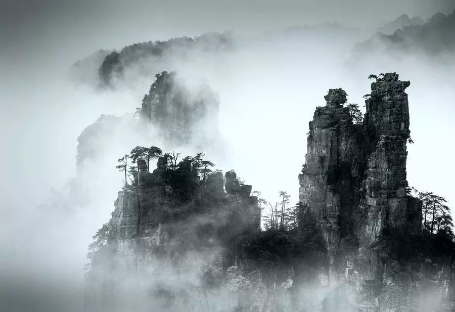 timg (8).jpg