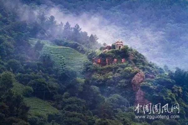 timg (1)_副本.jpg