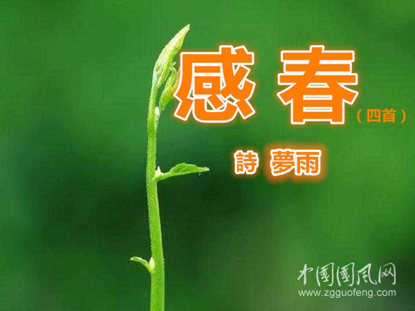 timg (5)_副本.jpg