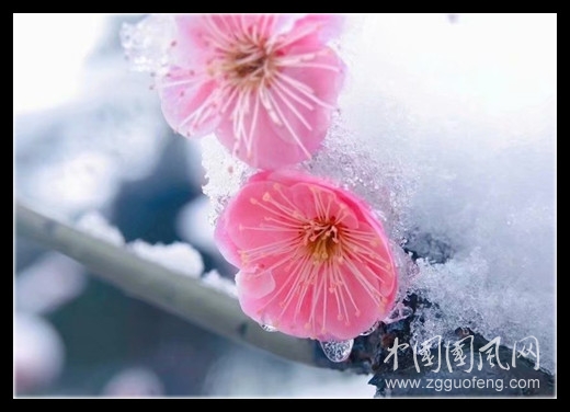 psc (11)_副本.jpg