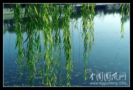 psc (7)_副本.jpg