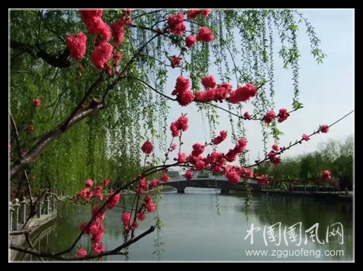 QQ图片20200225191932_副本.png