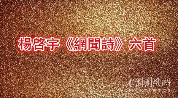 timg (2)_副本.jpg