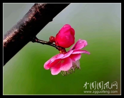 psc (9)_副本.jpg