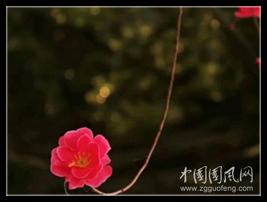 psc (5)_副本.jpg